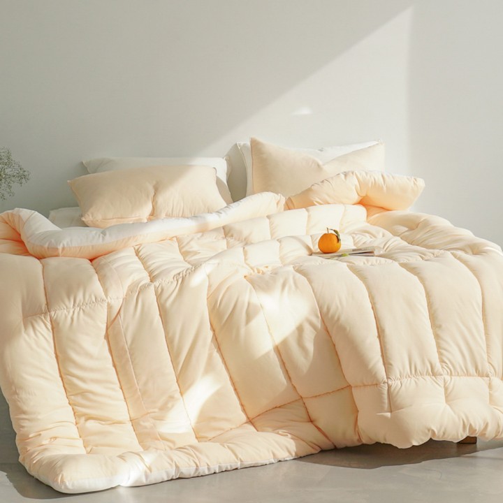 스프링알러지케어마이크로나노화이바이불세트(퀸)